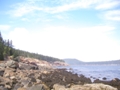 JPEG Image (9553999)