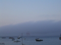 JPEG Image (9603745)