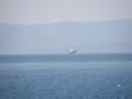 P8170147