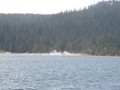 Yellowstone Lake