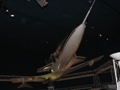 Smithsonian National Air and Space Museum