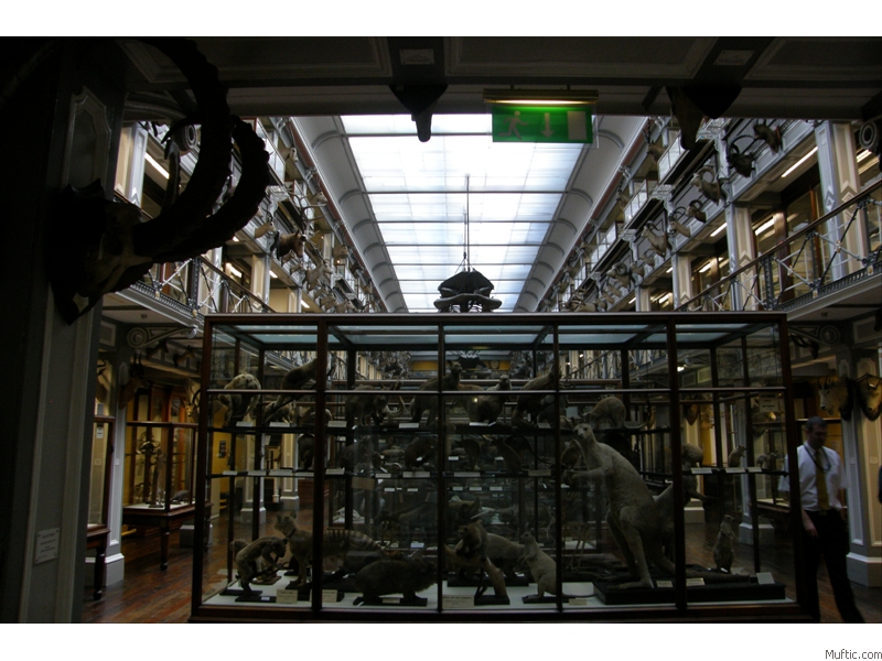 Natural History Museum