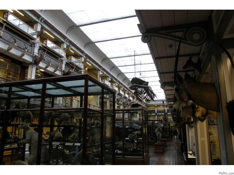 Natural History Museum