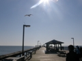 Myrtle Beach SC