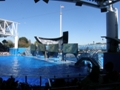 Sea World Orlando FL
