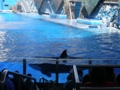 Sea World Orlando FL