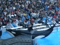 Sea World Orlando FL