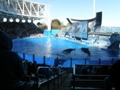 Sea World Orlando FL