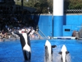 Sea World Orlando FL