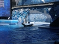 Sea World Orlando FL