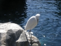 Sea World Orlando FL