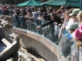 Sea World Orlando FL