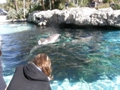 Sea World Orlando FL
