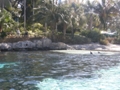 Sea World Orlando FL