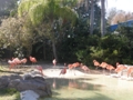 Sea World Orlando FL