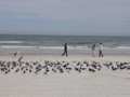 Daytona Beach FL