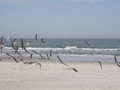 Daytona Beach FL
