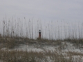 Daytona Beach FL