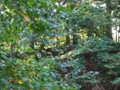 IMG_0037