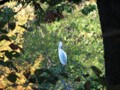 IMG_0049