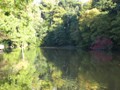 IMG_0050
