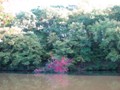 IMG_0053