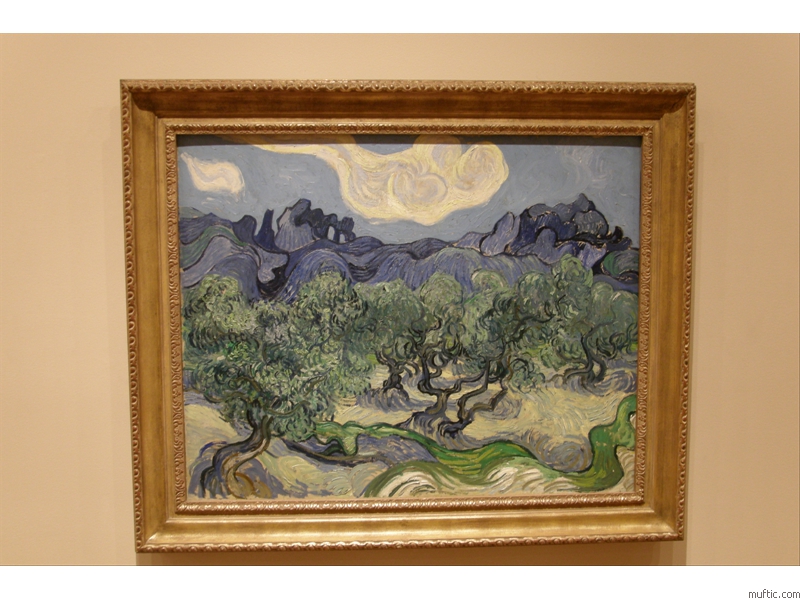 Vincent van Gogh: The Olive Trees, 1889 - oil