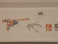 MoMA