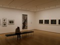 MoMA