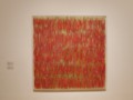 MoMA