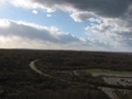 JPEG Image (8886646)