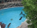 Niagara Falls Aquarium