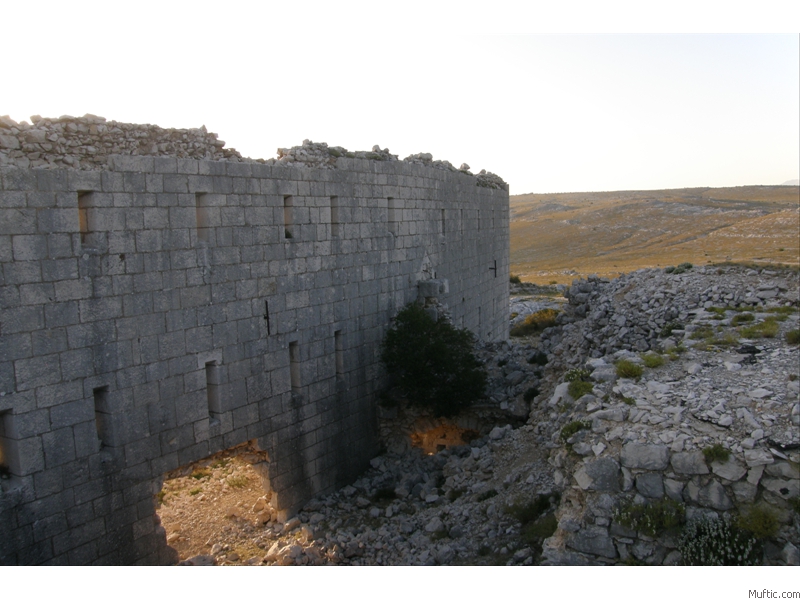 Svetigora