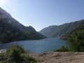 Grabovica