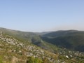 Vranjevici