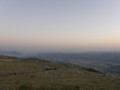 Bisce Polje