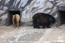 Bear Mt., NY