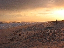 Hamptons, NY